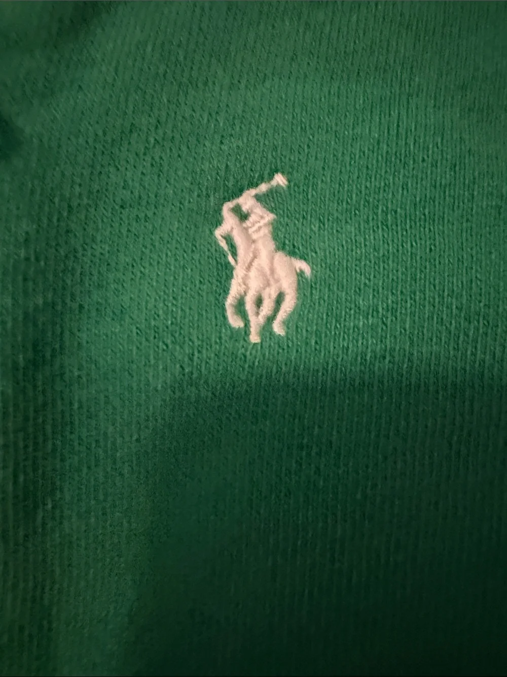 Ralph Lauren Emerald Green Zip Hoodie with Polo Pony